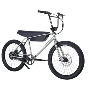 ZOOZ Ultra Urban E-Bike Chrome