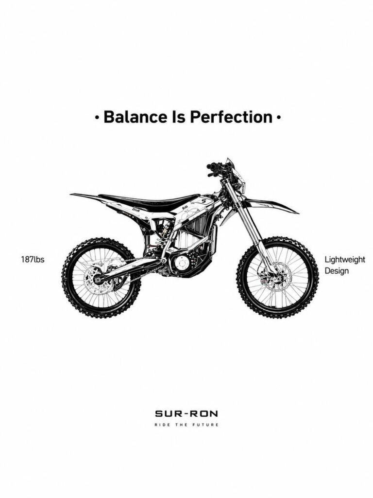 eBikesPlug premium electric bike