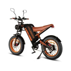 Kugoo V6 Electric Bike