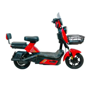 Wind Horse M6 Electric Bike