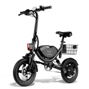 Wind Horse W3 Electric Bike